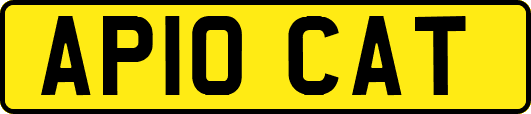 AP10CAT