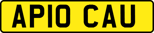 AP10CAU