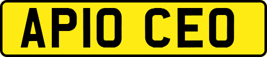 AP10CEO
