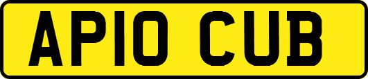 AP10CUB