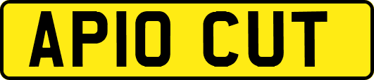 AP10CUT