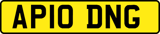 AP10DNG