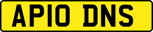 AP10DNS