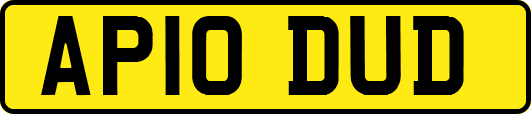 AP10DUD