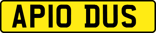 AP10DUS