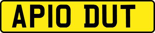 AP10DUT