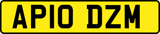 AP10DZM