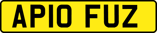 AP10FUZ