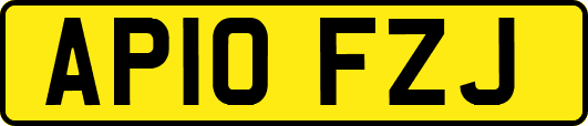 AP10FZJ