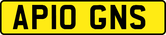 AP10GNS