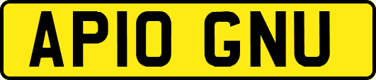 AP10GNU
