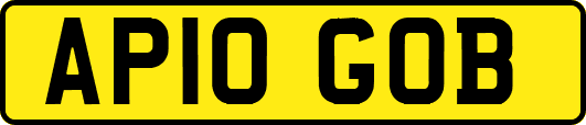 AP10GOB