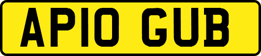 AP10GUB