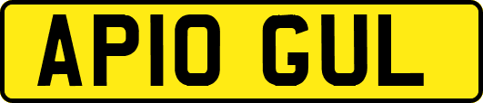 AP10GUL