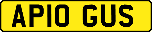 AP10GUS