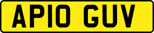AP10GUV