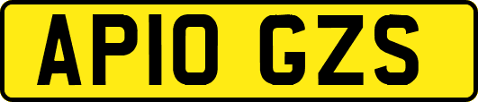 AP10GZS