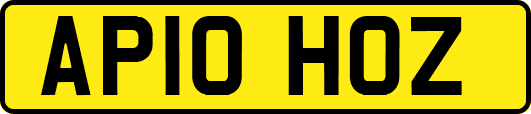 AP10HOZ