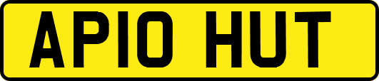 AP10HUT