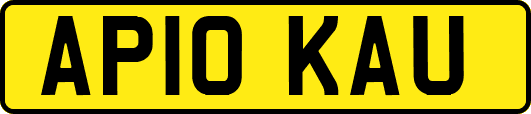 AP10KAU