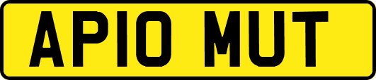 AP10MUT
