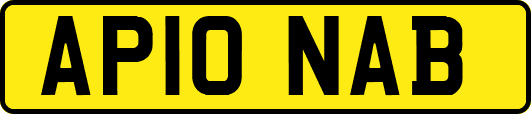 AP10NAB