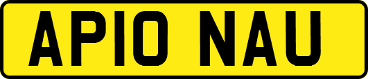 AP10NAU
