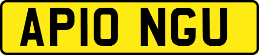 AP10NGU
