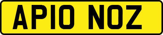 AP10NOZ