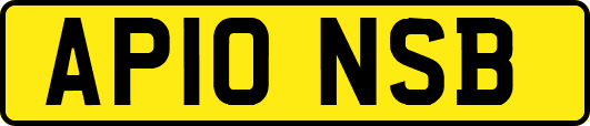 AP10NSB