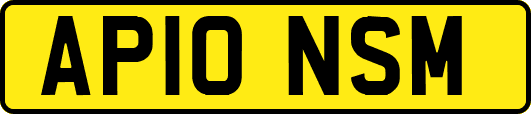 AP10NSM
