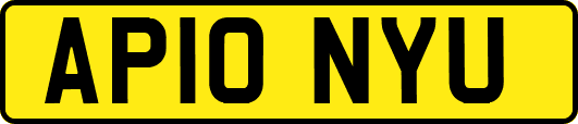 AP10NYU
