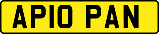 AP10PAN