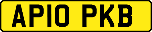 AP10PKB