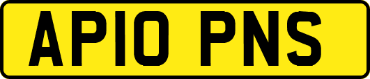 AP10PNS