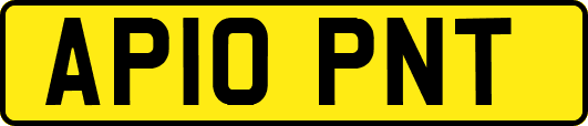 AP10PNT