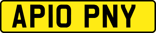 AP10PNY