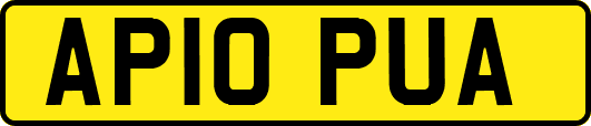 AP10PUA