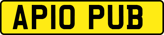 AP10PUB