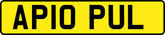 AP10PUL