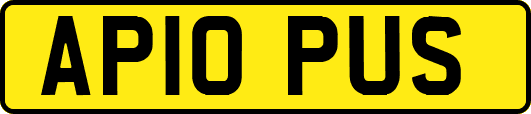 AP10PUS