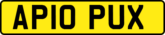 AP10PUX