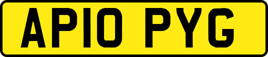AP10PYG