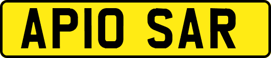 AP10SAR