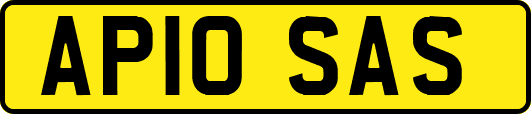 AP10SAS