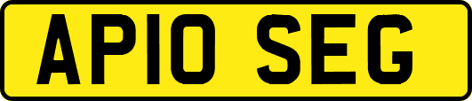 AP10SEG