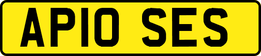 AP10SES