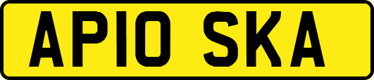 AP10SKA