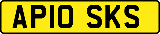 AP10SKS