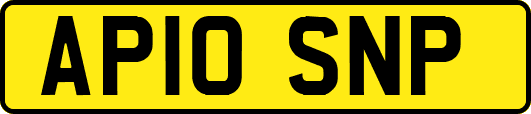 AP10SNP